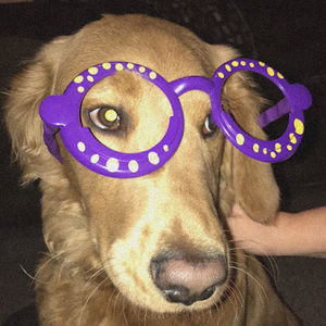 Meet your Posher, Logan